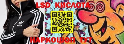 бошки Гатчина