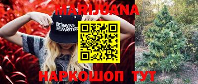 мдпв Гай