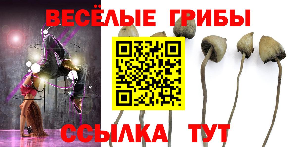 цены наркотик  Вход с VPN  Набережные Челны  Галлюциногенные грибы мухоморы 