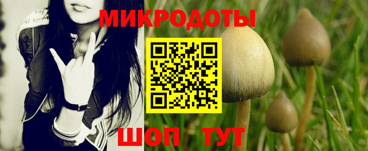 Псилоцибиновые грибы прущие грибы Набережные Челны